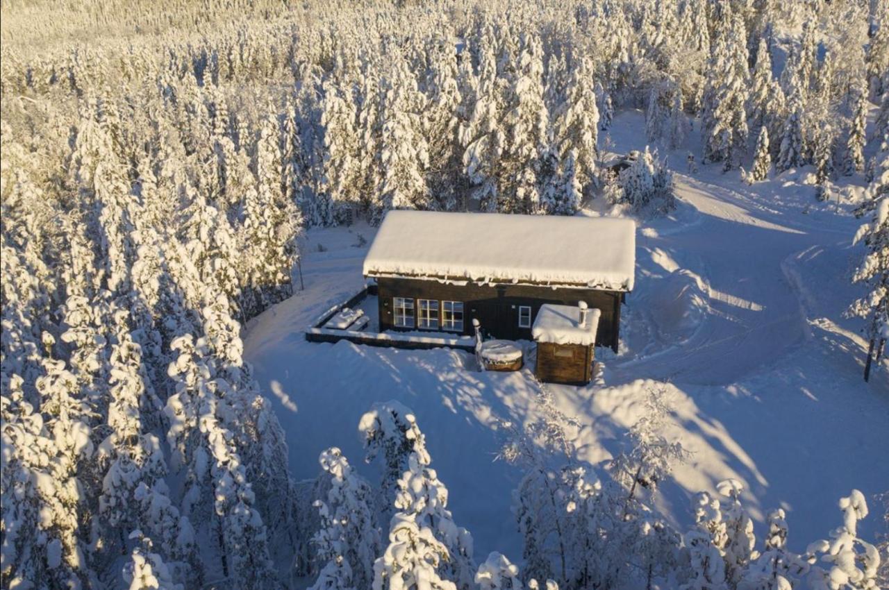 Cabin With Sauna In 特吕西尔 外观 照片